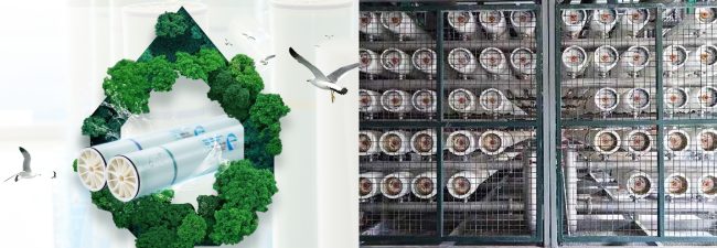 1774153795-cd81caea68355ea