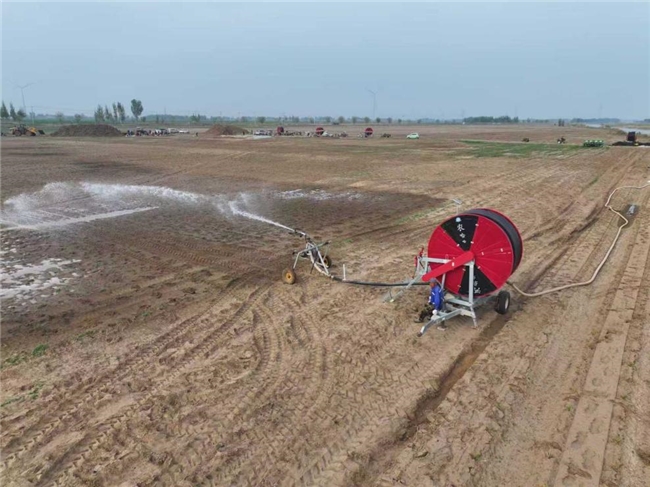 聚力津冀协同发展 深泽万亩芦竹种植基地全面开工